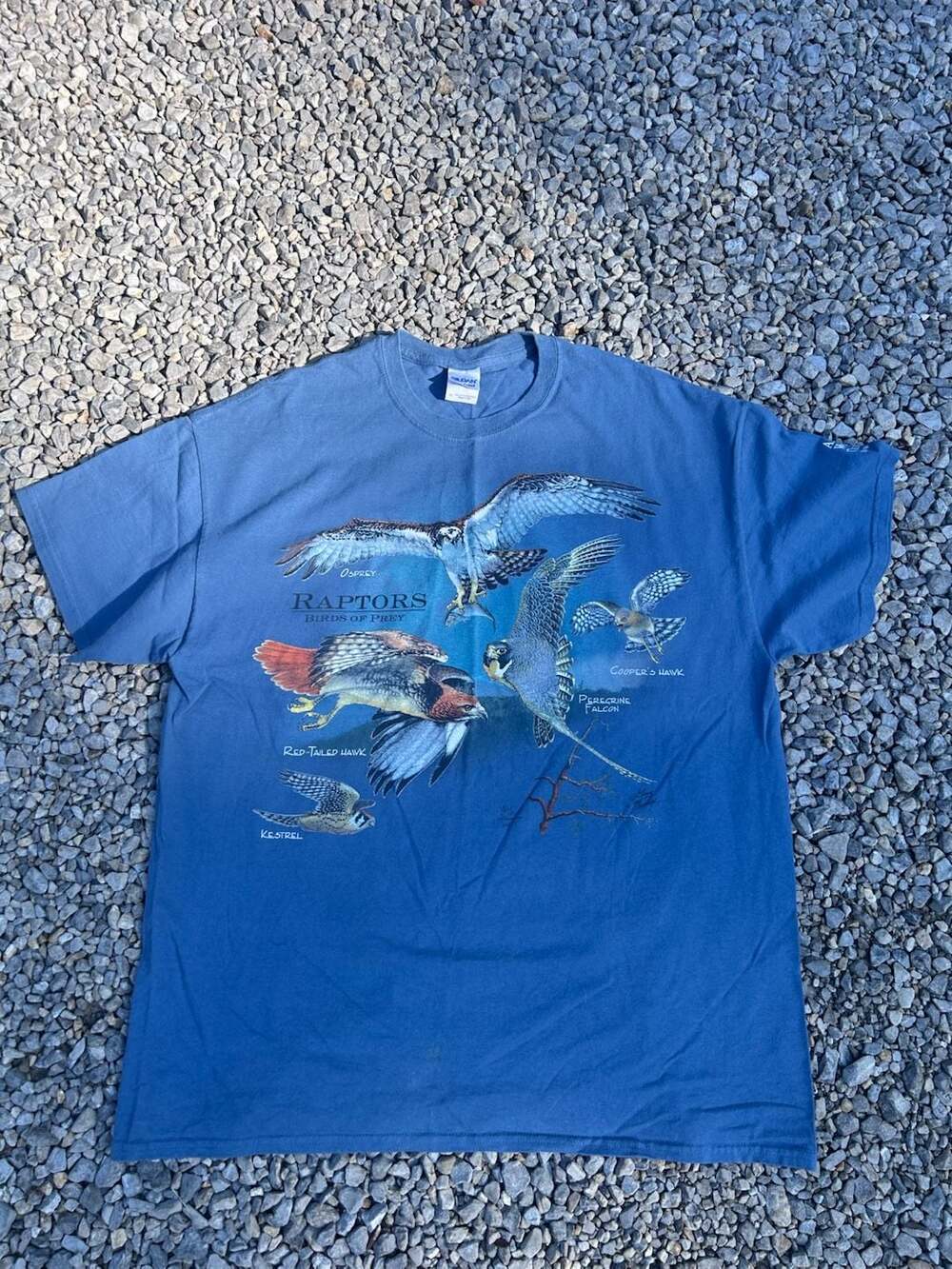 Gildan Raptors Birds of Prey Alabama Wildlife Center T-Shirt